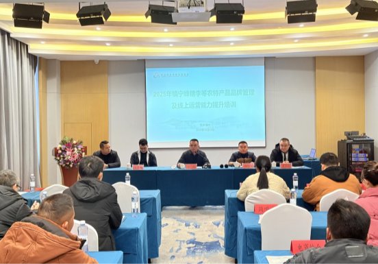 微信图片_20251224103132_80_1336